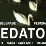 Umetnici Flaka Haliti, Bojan Šarčević i Saša Tkačenko otvaraju izložbu "Predatori" 1