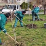 Novi Sad: Gradsko zelenilo uređuje 40 mini parkova 15