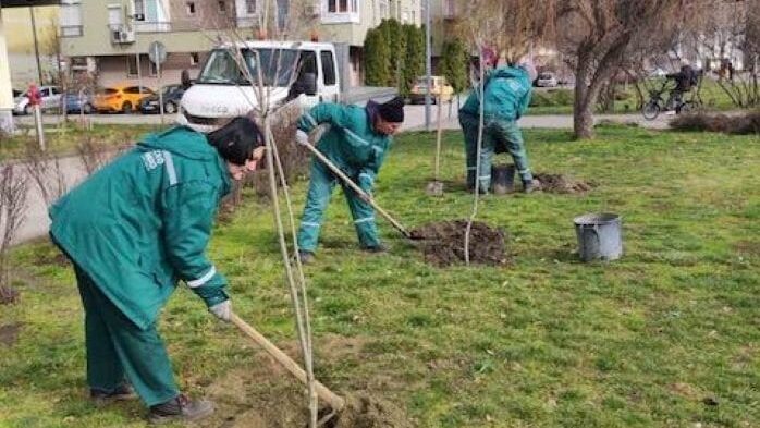 Novi Sad: Gradsko zelenilo uređuje 40 mini parkova 1