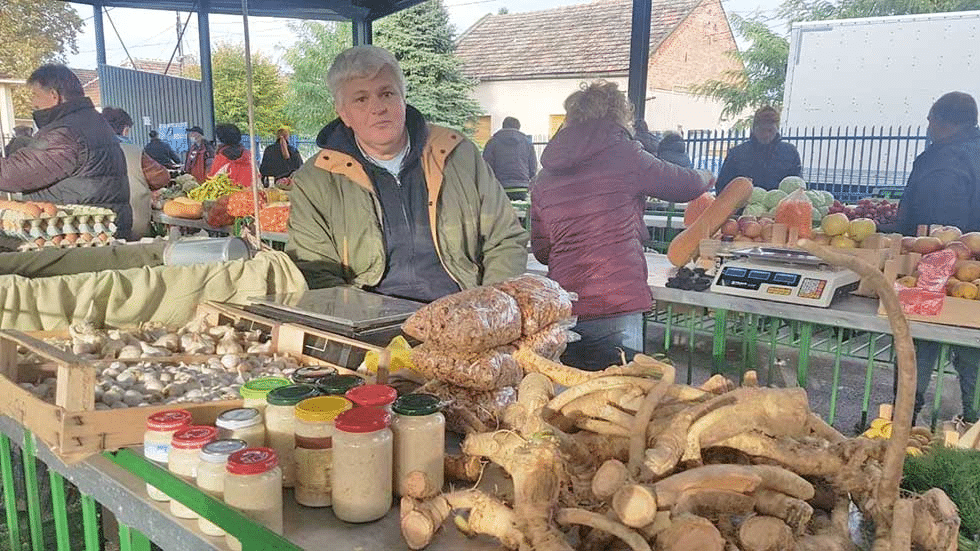 Bez rena nema barene kolenice ili krmenadle u salamuri 2