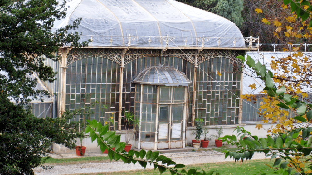 Beograd (2): Jedna učionica na otvorenom 1