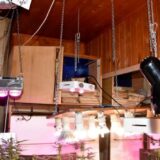 Subotička policija uhapsila osumnjičenog za proizvodnju i prodaju droge 8