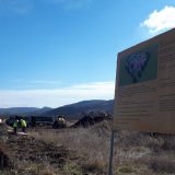 Narodna poslanica Jelena Milošević traži proveru finansiranja i izvedenih radova na skupom, a nezavršenom akva parku u Nišu 2