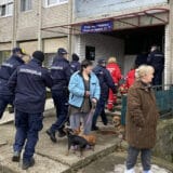 Kragujevac: Mačke ga spasile od prinudnog iseljenja 6