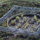 Sedam hiljada hrastova Jozefa Bojsa 8