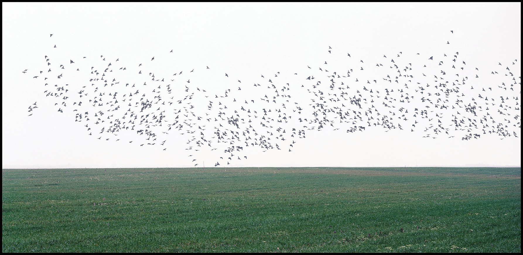Pejzaž kao područje promišljanja stvarnosti 3 Pejzaž kao područje promišljanja stvarnosti 2