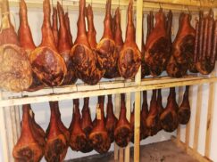 Porodica Mirkov iz Čente napravila biznis od dva poklonjena praseta mangulice 2