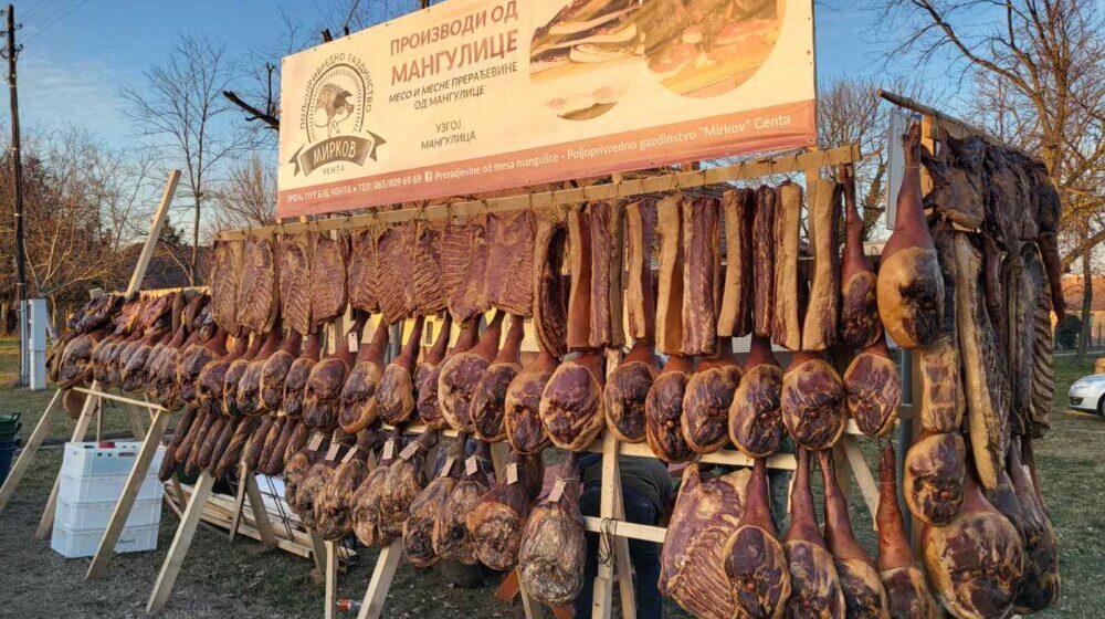 Porodica Mirkov iz Čente napravila biznis od dva poklonjena praseta mangulice 1