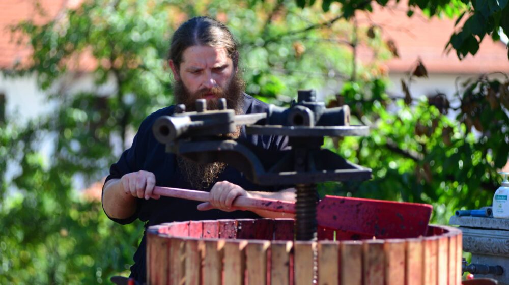 Podneblje kao stvoreno za vinovu lozu 1 Podneblje kao stvoreno za vinovu lozu 1