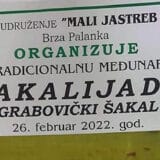 Kladovo: Na tradicionalnoj grabovičkoj „Šakalijadi“ odstreljeno pet šakala 3