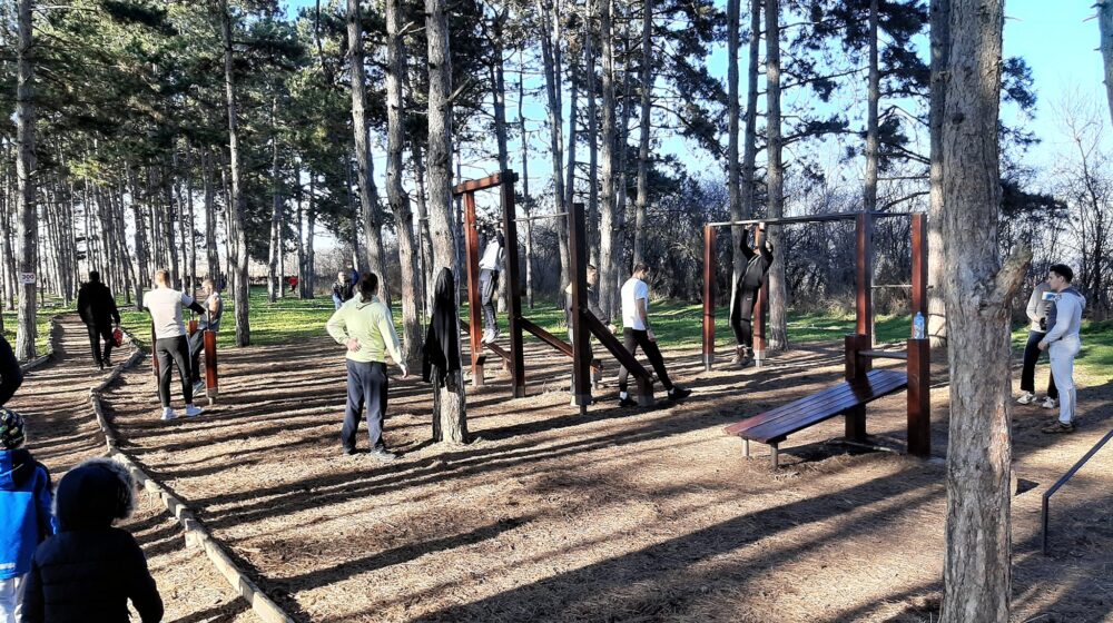Pluća Jagodine se šire: Nova stabla na "Ruskom groblju" 1