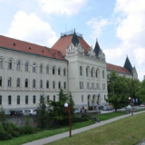 Majci devojčice koja se sumnjiči za napad nožem u Zrenjaninu tužilac odredio zadržavanje 13