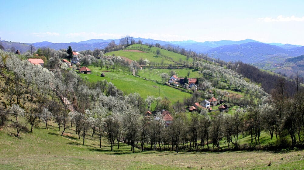 U Užicu će biti osnovan lokalni fond za pomoć mladim poljoprivrednicima i ženama na selu 1