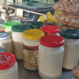 Bez rena nema barene kolenice ili krmenadle u salamuri 2