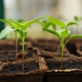 Srbija opet ušla u ekološki dug: Nedozvoljeni minus nam je ove godine ranije zabeležen 13