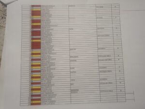 Kako izgleda raspored na listi Ujedinjeni za pobedu Srbije: Đilas na 64. mestu 3