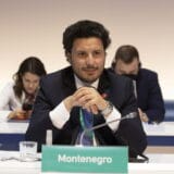 Gojan: Nisam bila sarkastična u pitanju upućenom Abazoviću 1