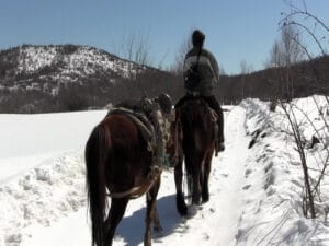 Safet Kovačević, poslednji pešterski nomad