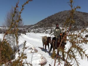 Safet Kovačević, pešterski nomad