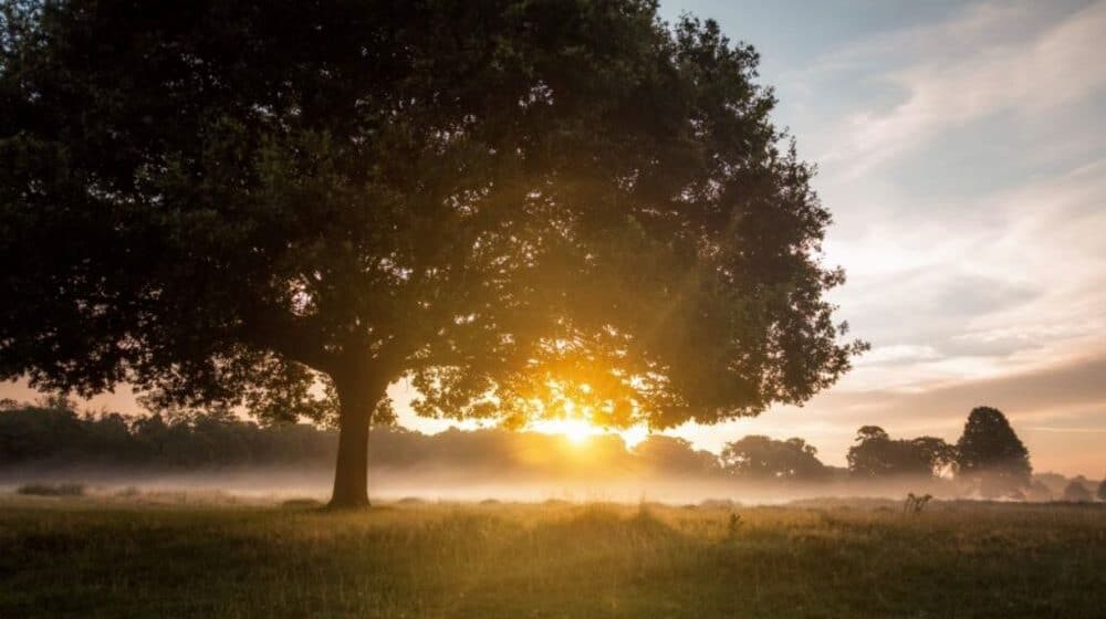 Najlepša srpska reč je praskozorje 1