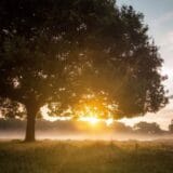 Najlepša srpska reč je praskozorje 1