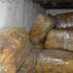 Policija zaplenila skoro 700 kilograma duvana u dve odvojene akcije 7