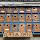 Srbija i životinje: Hotel za vrapce u Kikindi čeka prve posetioce 3