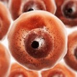 Korona virus: Ćelije koje mogu da vam podare superimunitet 6