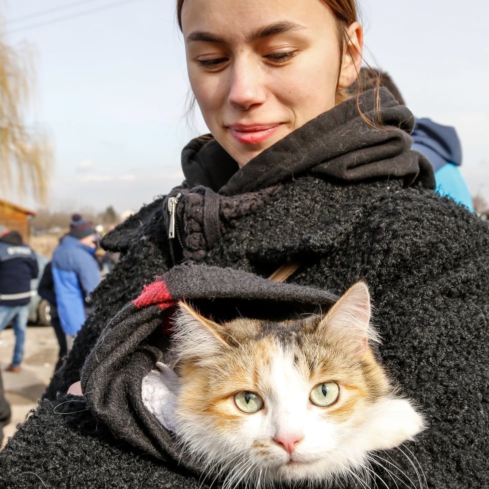 A young Ukrainian woman with her cat, crossing into Poland