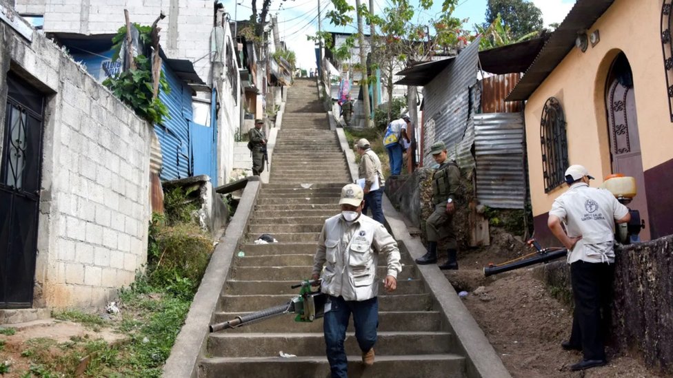 Korona virus: Da li su prethodne pandemije dovele do pojave Parkinsonove bolesti 2 Brojni virusi su povezani sa retkim neurološkim stanjem nazvanim Gilen-Bareov sindrom. Jedan je zika, koji je možda doveo do porasta broja slučajeva u 2015.