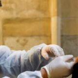 Korona virus: Od subote Srbija ukida važenje propusnica, maske samo preporuka, pandemija daleko od kraja - upozorava SZO 3