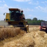 Na Produktnoj berzi pojeftinila pšenica oko šest odsto, a kukuruz 12 odsto 11