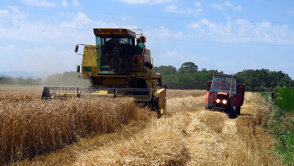 Na Produktnoj berzi pojeftinila pšenica oko šest odsto, a kukuruz 12 odsto 1