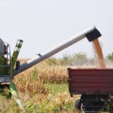 Ministarstvo poljoprivrede: Isporuka ugovorene pšenice regionu u najkraćem roku 12
