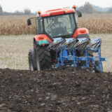 Poljoprivrednici srednjeg Banata ostali verni pšenici: Zasejano 55.500 hektara 11