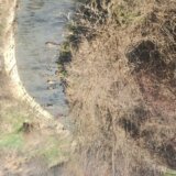Telo muškarca pronađeno u Vranjskoj reci 11