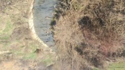 Vranjska reka kao deponija (FOTO) 3