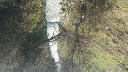 Vranjska reka kao deponija (FOTO) 4