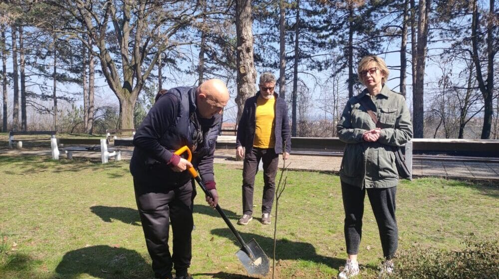 Jagodina: SSP sadnjom drveta obeležio Međunarodni dan šuma 1