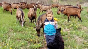Od Tajne do Njegoša: Arhaična, neobična i retka imena za decu u gradovima širom Srbije 4