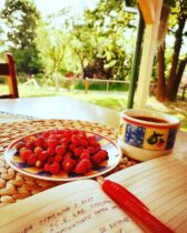 199387211_10157539896522257_37292915744155119_n Kako je mladi Užičanin poželeo da dočeka penziju u selu Drežnik i jedva izvukao Norvežanina iz sušare za meso (FOTO) 3