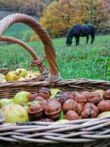 247305750_10157745309107257_9175148842145866350_n Kako je mladi Užičanin poželeo da dočeka penziju u selu Drežnik i jedva izvukao Norvežanina iz sušare za meso (FOTO) 2