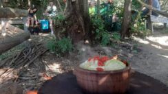 274595846_480533483606151_3079298540306617748_n Milovanov „Volujački lonac“ za snagu i zdravlje 5