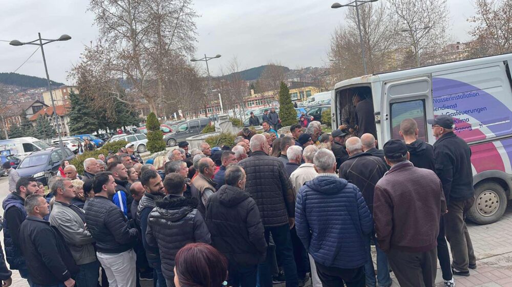 Podela sadnica, Novi Pazar