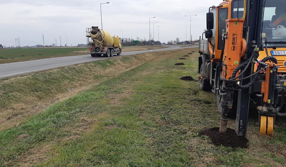 Subotica: Akcija sadnje drvoreda u subotu 1