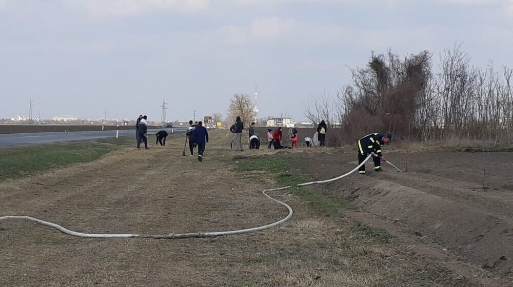 Subotica: Nastavak akcije sadnje drvoreda 1