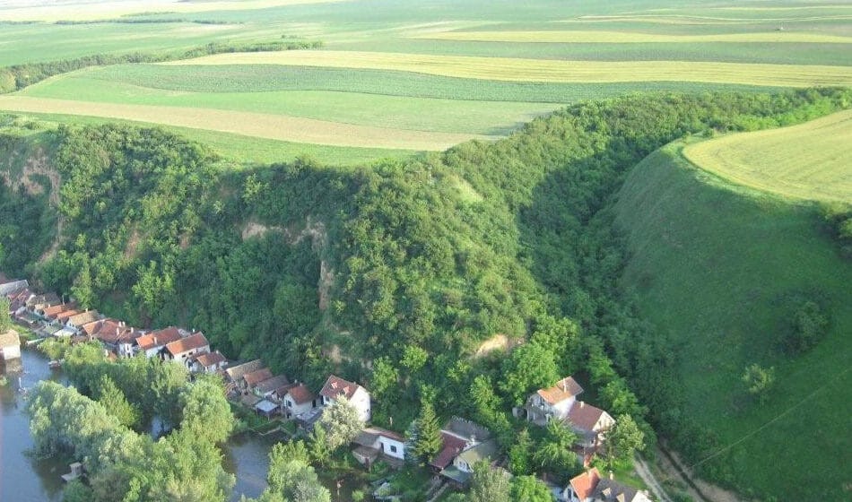 Orao belorepan, pčelarice i laste bregunice krase Titelski breg, a pogled sa njega oduzima dah 1