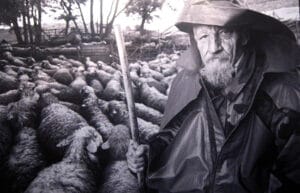 Fotografije Miroslava Predojevića u užičkoj galeriji 3