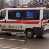 Pas ujeo dečaka u Leskovcu, sedmogodišnjak hospitalizovan u Nišu 10