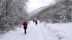 IMG-1925425b16b971a22db3300f373ab889-V Planinari “Tornika” posetili mladića koji živi sam u selu na 1.200 m nadmorske visine (FOTO) 5